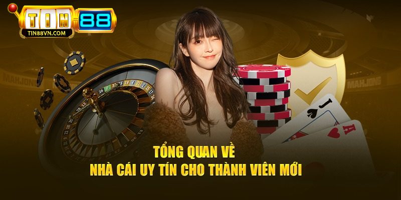Khái quát về nhà cái Tin88
